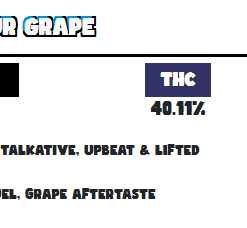 Pillows Tsunami Sour Grape available for sale in stock at affordable prices buy Pillows Tsunami Sour Grape in bulk at best discount prices