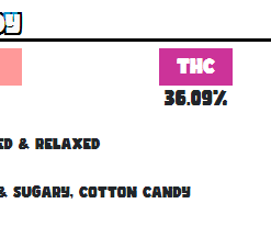 Pillows Cotton Candy available for sale in stock at affordable prices buy Pillows Cotton Candy in bulk at best discount prices