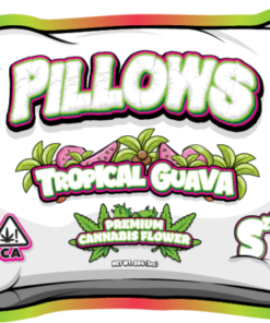Pillows Tropical Guava available for sale in stock at affordable prices buy Pillows Tropical Guava in bulk at best discount prices