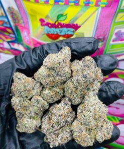 New Sweetz Exotics Weed available for sale in stock at affordable prices buy New Sweetz Exotics Weed in bulk at best discount prices