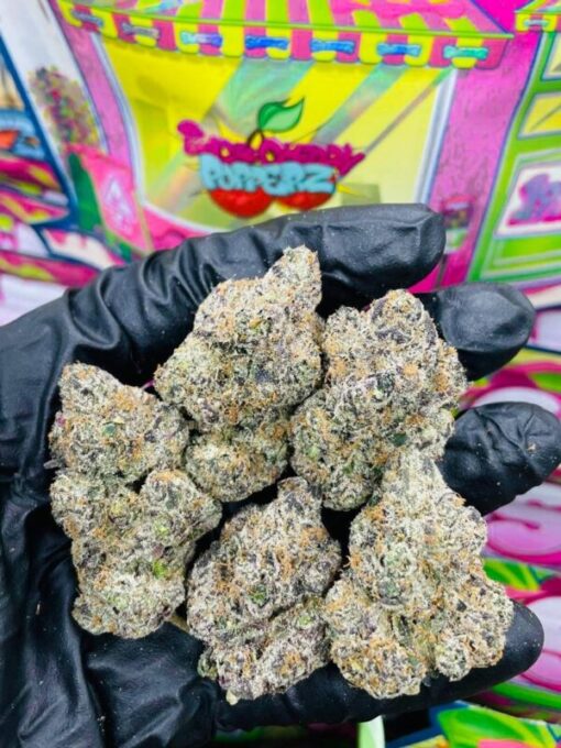 New Sweetz Exotics Weed available for sale in stock at affordable prices buy New Sweetz Exotics Weed in bulk at best discount prices